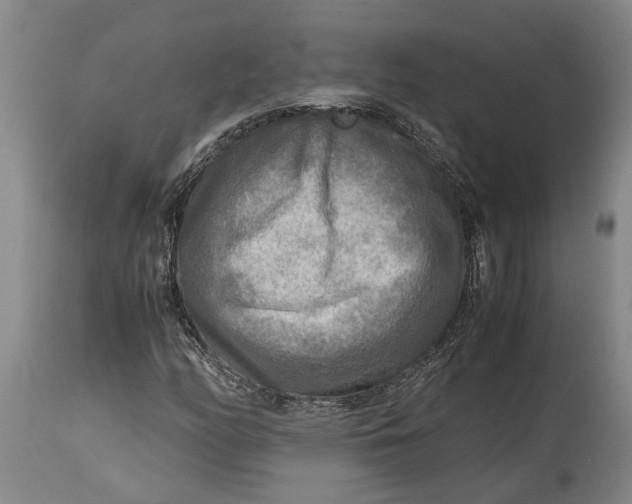 X0000114561158200911091212