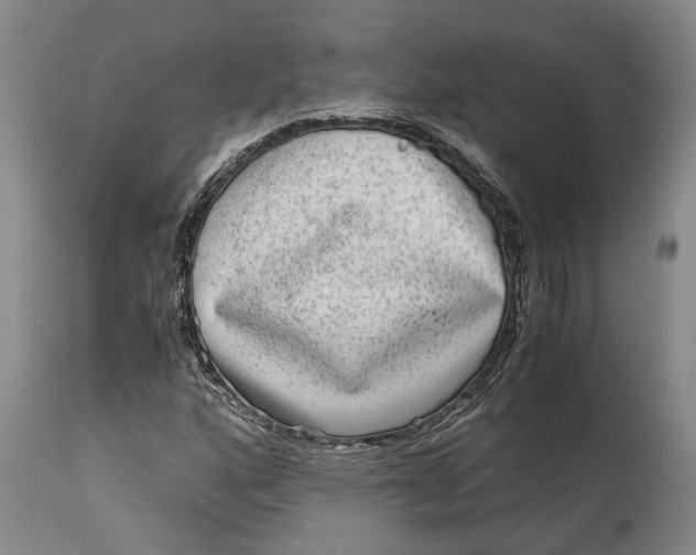 X0000114561160200911091212