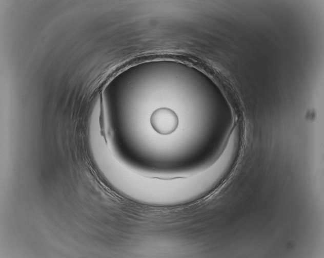 X0000114561161200911091212
