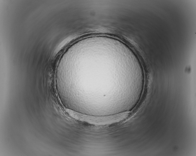 X0000114561163200911091212