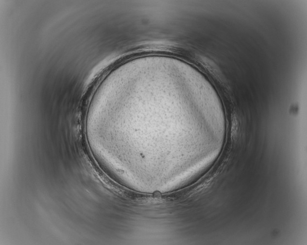 X0000114561164200911091212