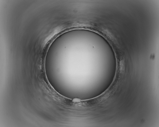 X0000114561165200911091212