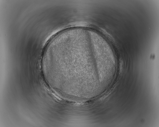 X0000114561166200911091212