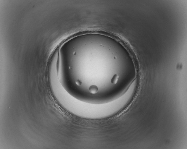 X0000114561167200911091212