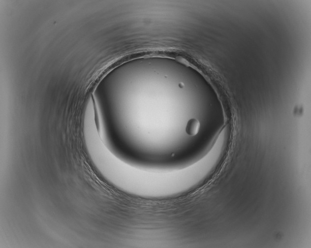 X0000114561169200911091212