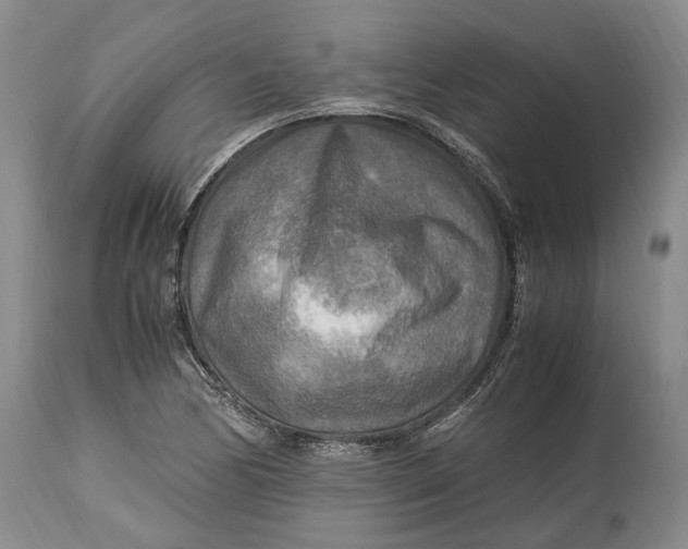 X0000114561170200911091212