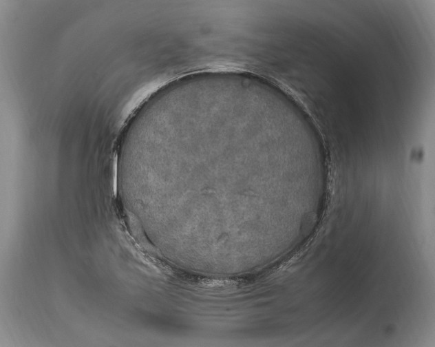 X0000114561171200911091212