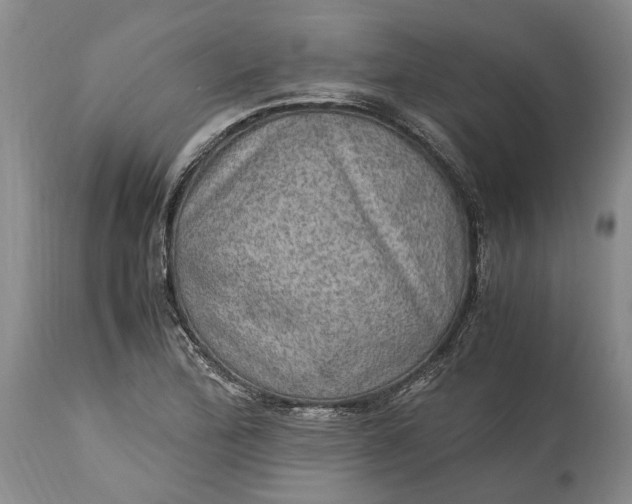 X0000114561172200911091211