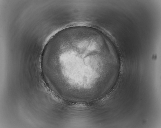 X0000114561174200911091211