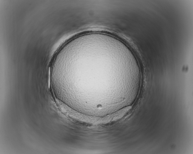 X0000114561175200911091211