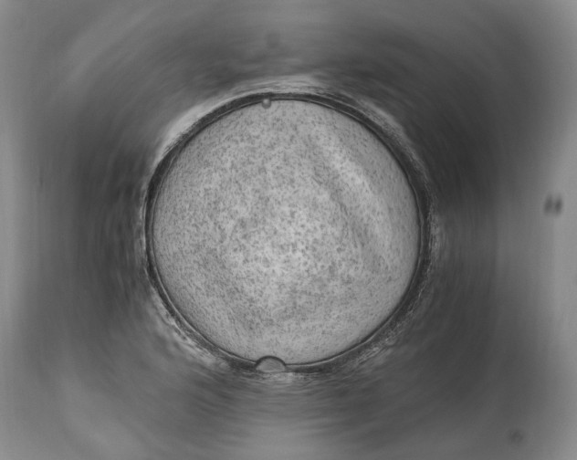 X0000114561176200911091211