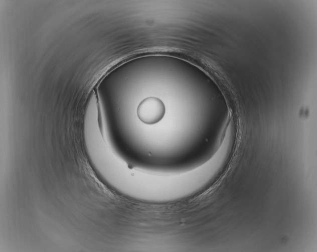 X0000114561177200911091211