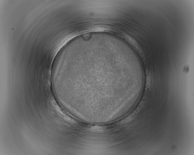 X0000114561178200911091211