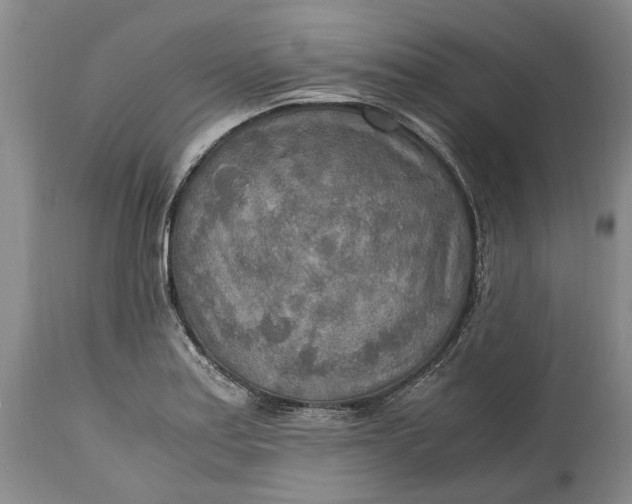 X0000114561179200911091211