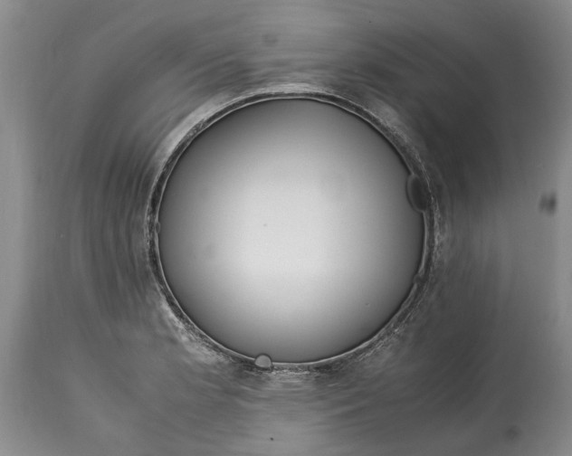 X0000114561181200911091211