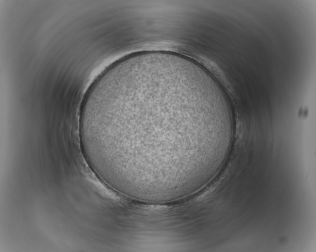 X0000114561184200911091211