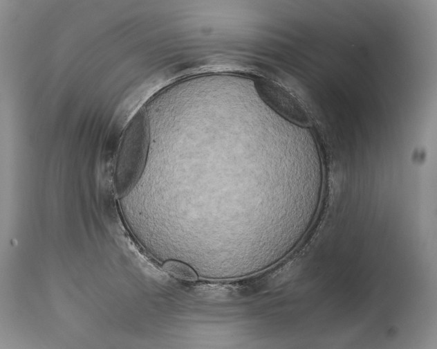 X0000114561185200911091211
