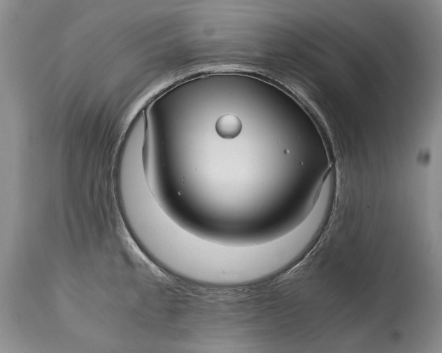 X0000114561189200911091211