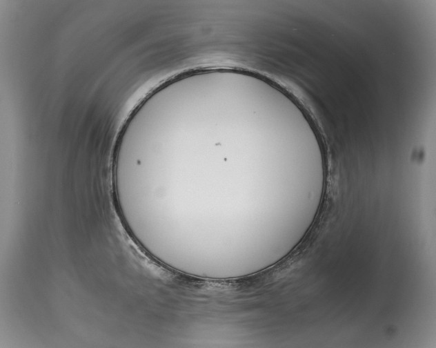 X0000114561191200911091211