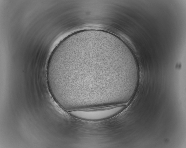 X0000114561192200911091211