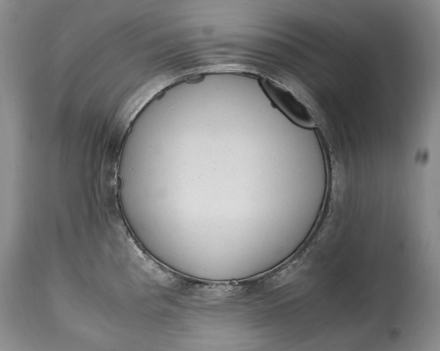 X0000114561193200911091211