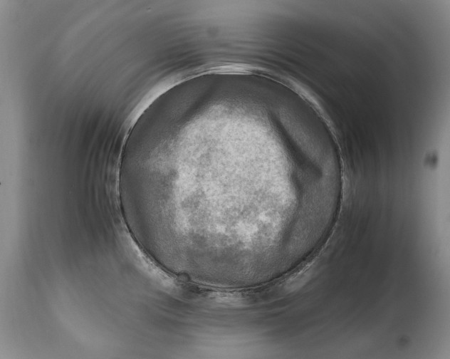 X0000114561194200911091211