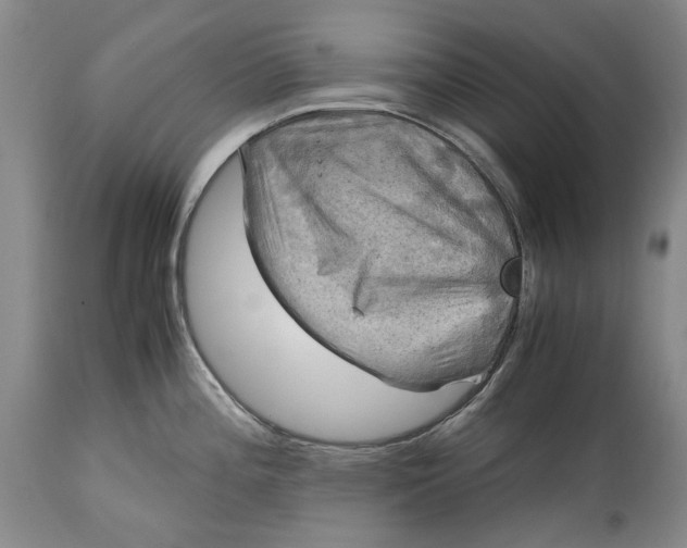 X0000114561196200911091211
