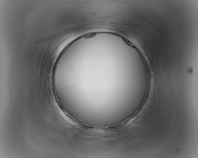 X0000114561197200911091211