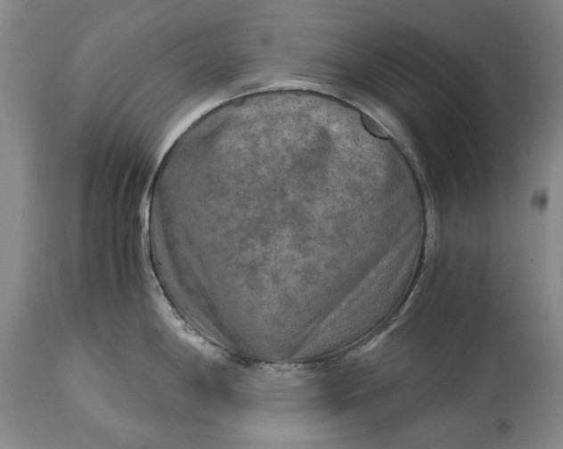 X0000114561198200911091211