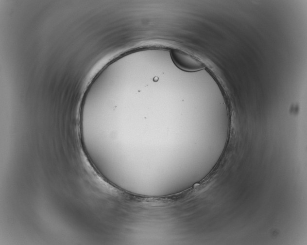 X0000114561199200911091211