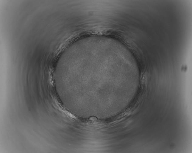 X0000114561202200911091210