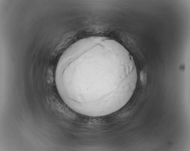 X0000114561203200911091210