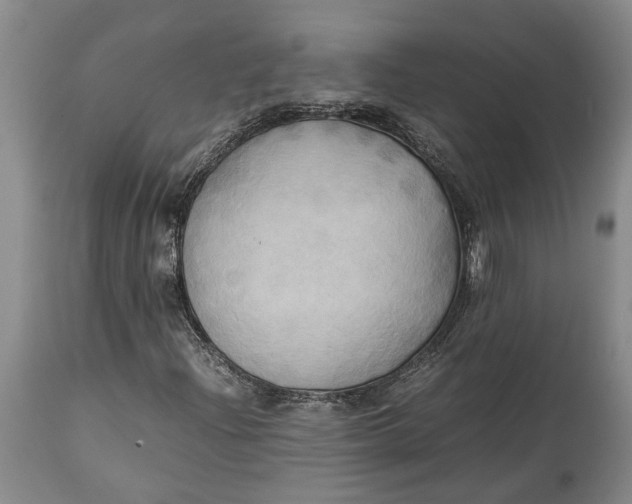X0000114561204200911091210