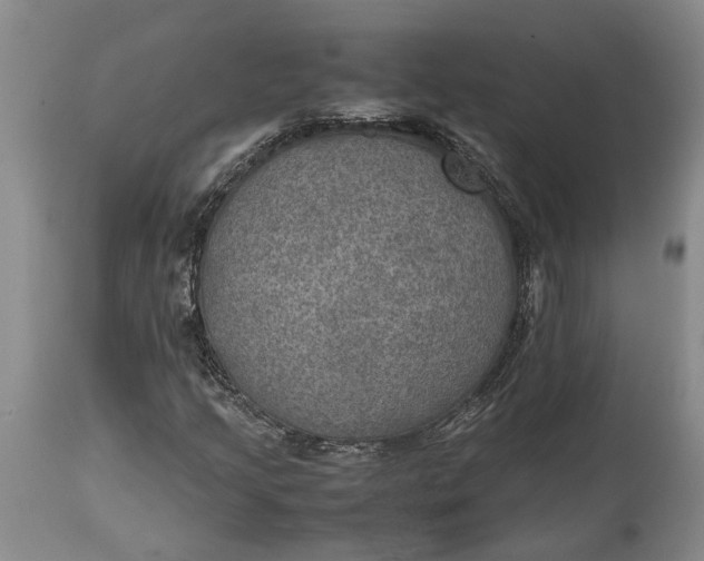 X0000114561205200911091211