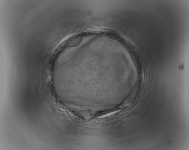 X0000114561206200911091211