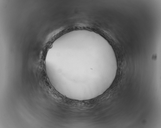X0000114561207200911091211