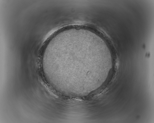 X0000114561208200911091211