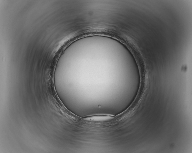 X0000114561210200911091211