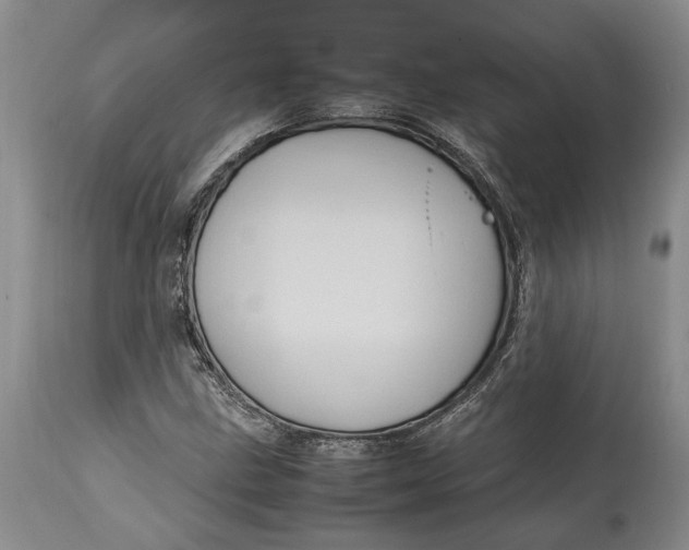 X0000114561211200911091211