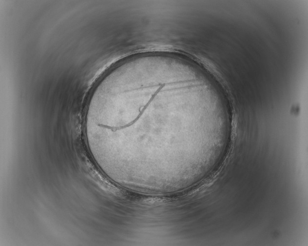 X0000114561212200911091211