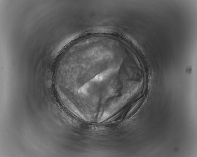 X0000114561213200911091211