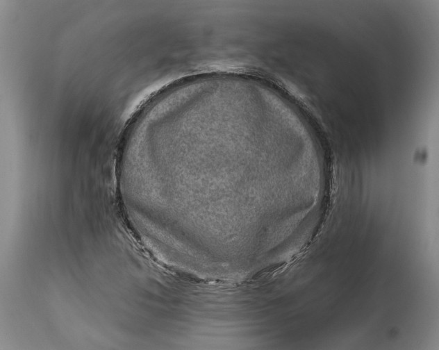 X0000114561214200911091211