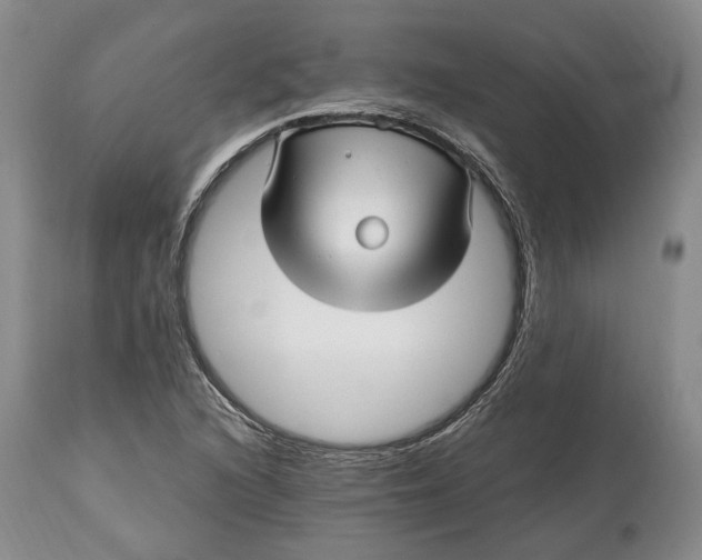 X0000114561216200911091211