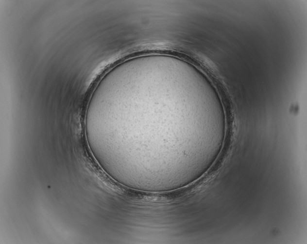X0000114561218200911091211