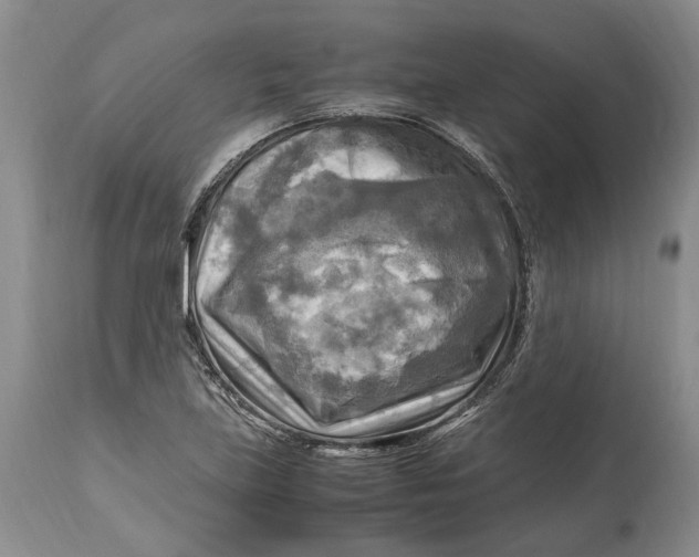 X0000114561219200911091211