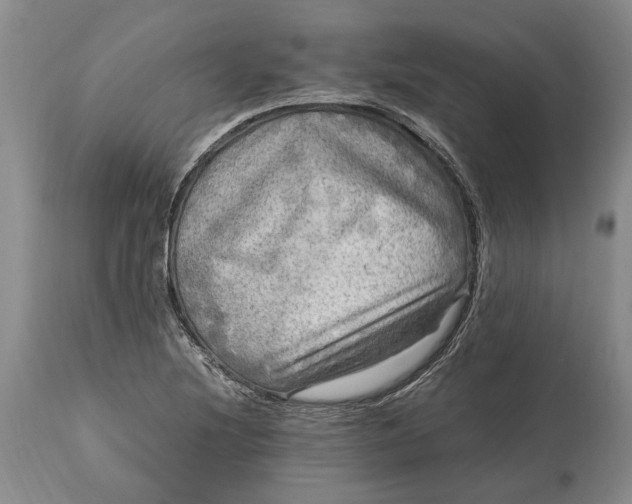 X0000114561220200911091211