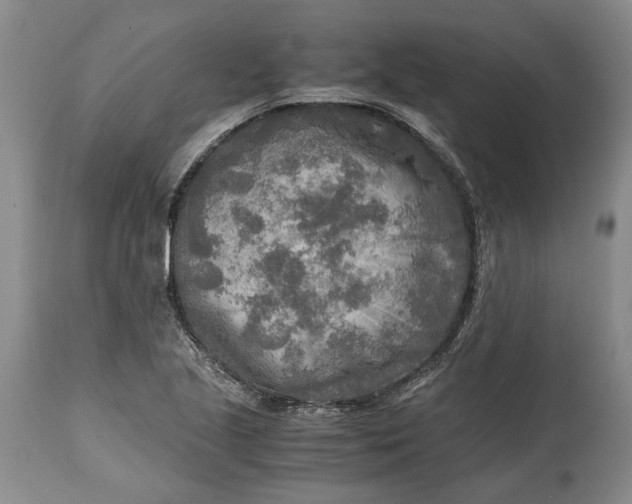 X0000114561221200911091211