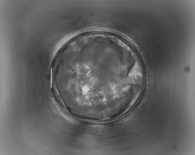 X0000114561223200911091211