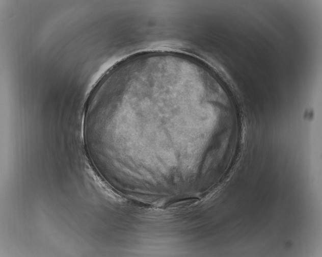 X0000114561224200911091211
