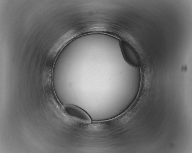 X0000114561225200911091211